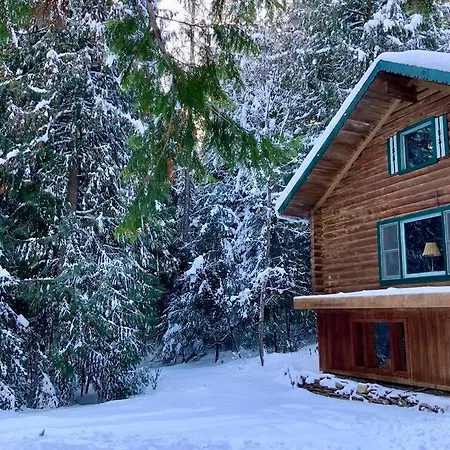 3-Level Log Cabin Near Silverwood - Tranquil Spirit Lake Extérieur photo