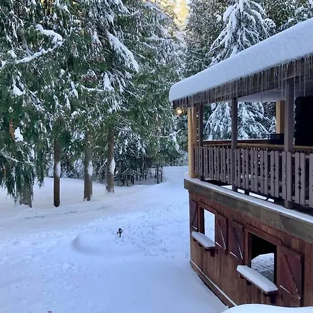 3-Level Log Cabin Near Silverwood - Tranquil Spirit Lake Extérieur photo