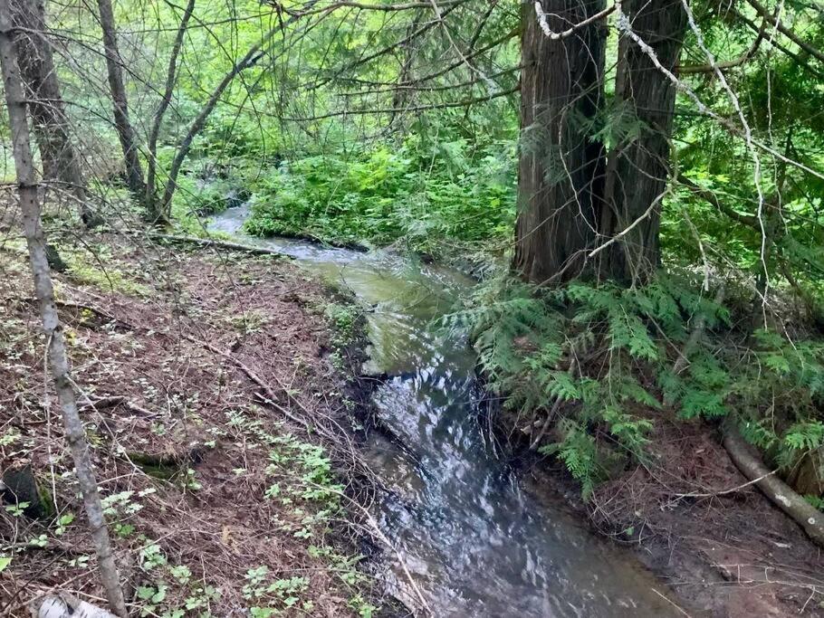 3-level Log Near Silverwood - Tranquil